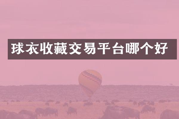 球衣收藏交易平台哪个好