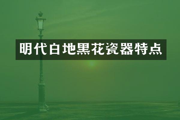 明代白地黑花瓷器特点