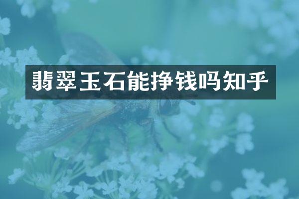 翡翠玉石能挣钱吗知乎