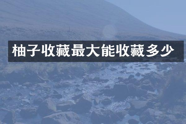 柚子收藏最大能收藏多少