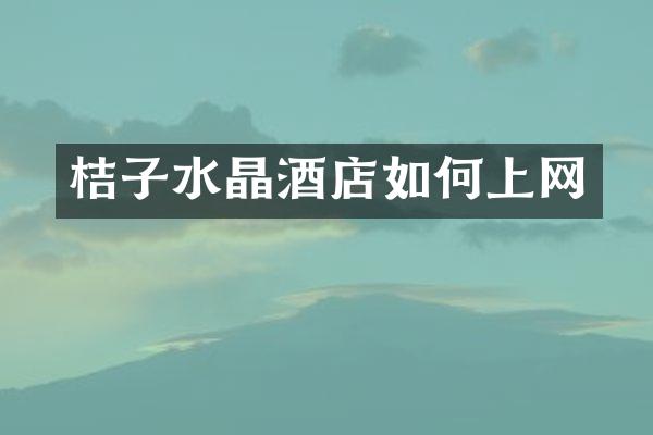 桔子水晶酒店如何上网