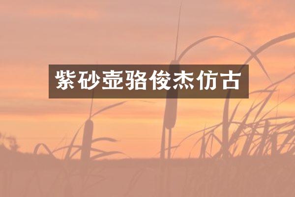 紫砂壶骆俊杰仿古