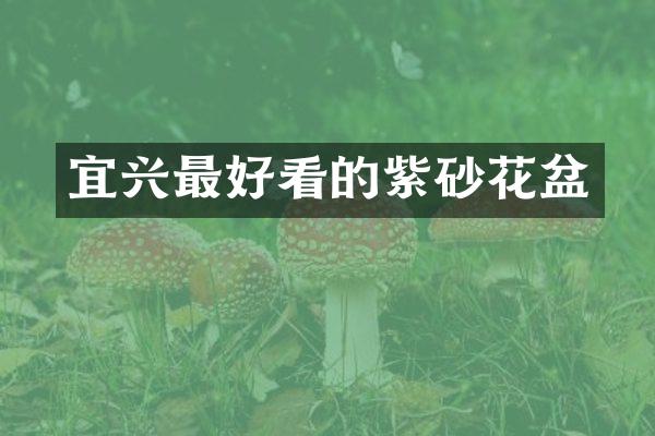 宜兴最好看的紫砂花盆