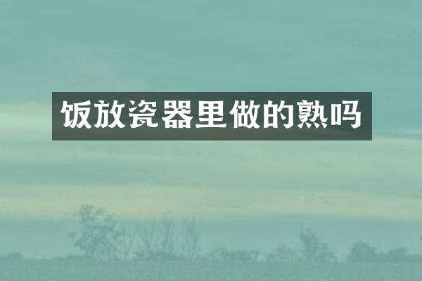 饭放瓷器里做的熟吗