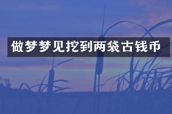 做梦梦见挖到两袋古钱币