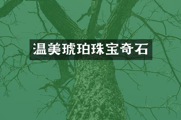 温美琥珀珠宝奇石