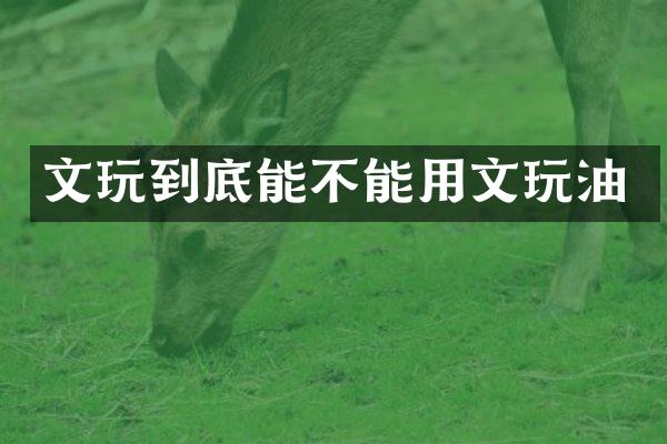 文玩到底能不能用文玩油
