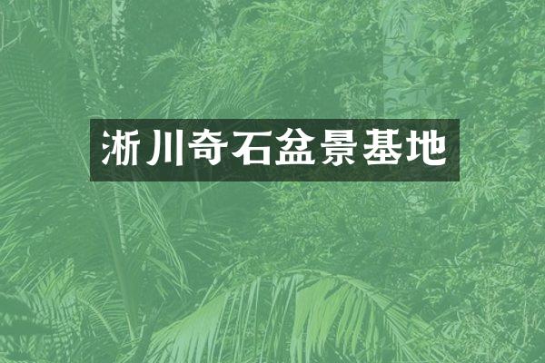 淅川奇石盆景基地