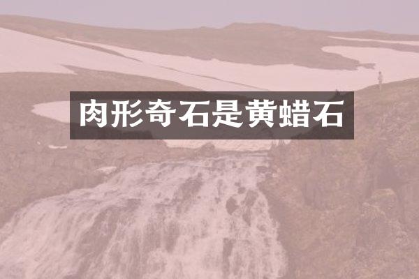 肉形奇石是黄蜡石