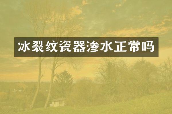 冰裂纹瓷器渗水正常吗