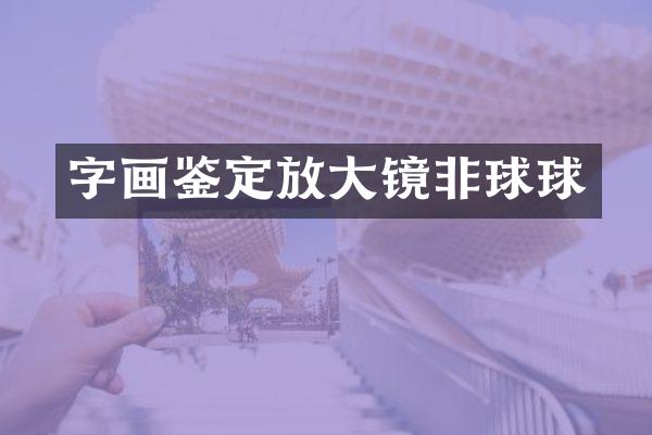 字画鉴定放大镜非球球