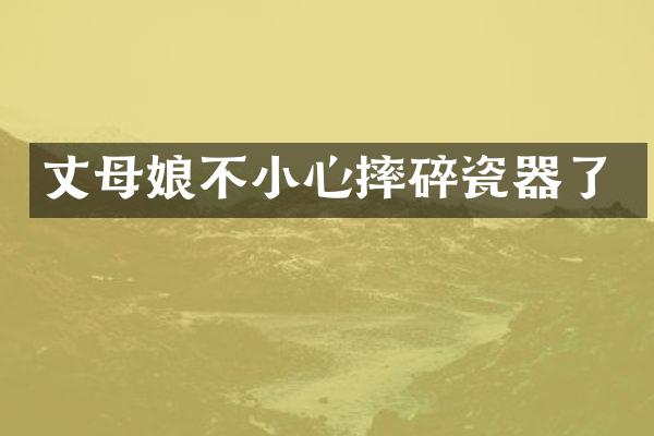 丈母娘不小心摔碎瓷器了