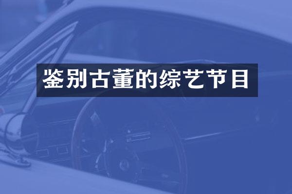 鉴别古董的综艺节目