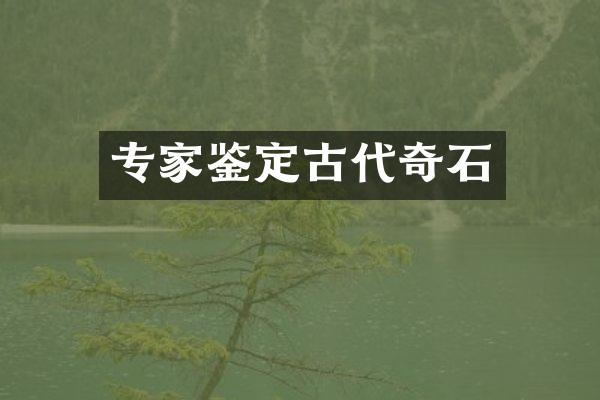 专家鉴定古代奇石