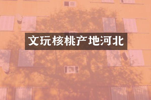 文玩核桃产地河北