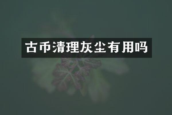 古币清理灰尘有用吗