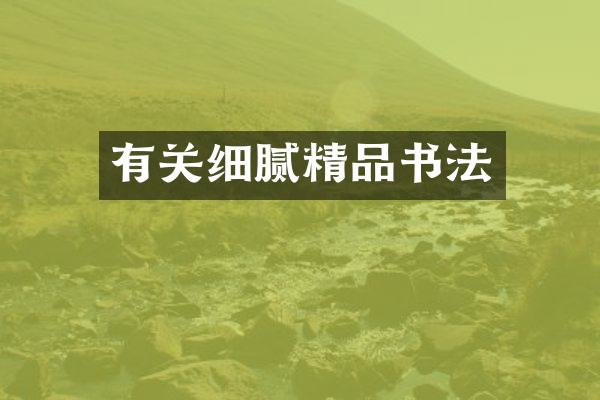有关细腻精品书法