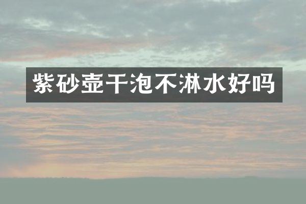紫砂壶干泡不淋水好吗