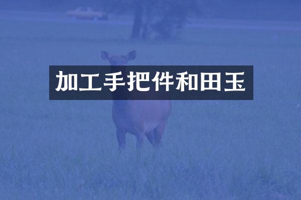 加工手把件和田玉