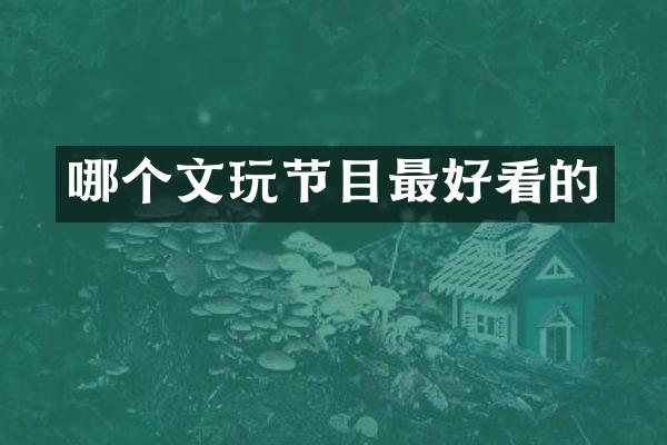 哪个文玩节目最好看的