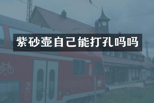 紫砂壶自己能打孔吗吗