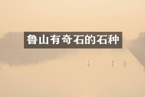 鲁山有奇石的石种