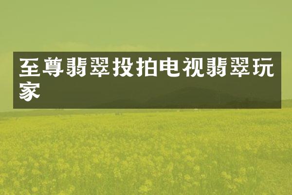 至尊翡翠投拍电视翡翠玩家