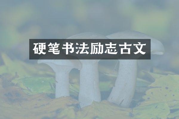 硬笔书法励志古文
