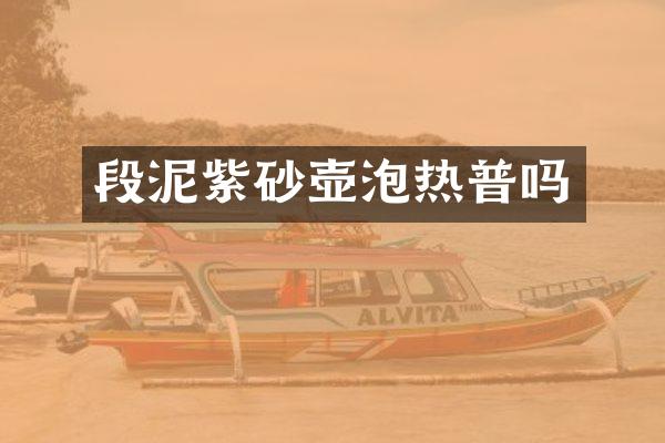 段泥紫砂壶泡热普吗