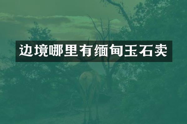 边境哪里有缅甸玉石卖