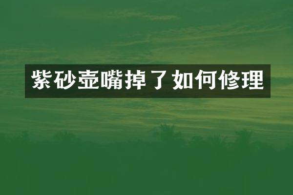 紫砂壶嘴掉了如何修理