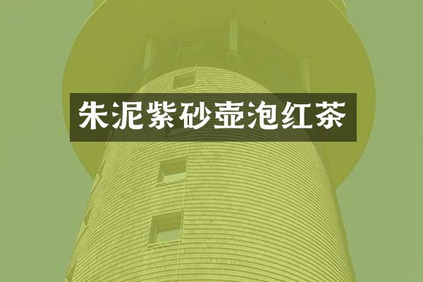 朱泥紫砂壶泡红茶