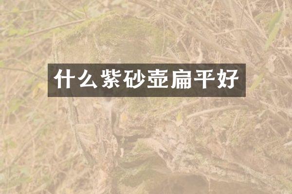 什么紫砂壶扁平好