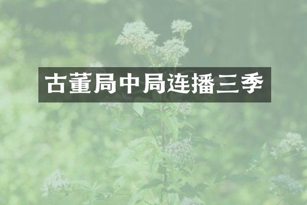 古董局中局连播三季