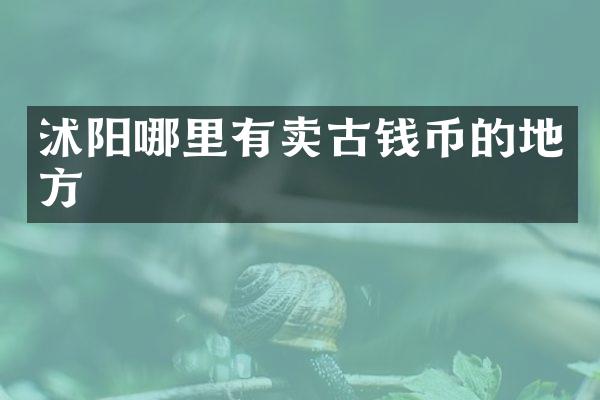沭阳哪里有卖古钱币的地方