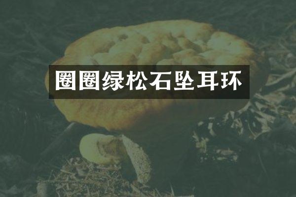 圈圈绿松石坠耳环