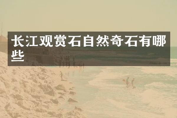 长江观赏石自然奇石有哪些
