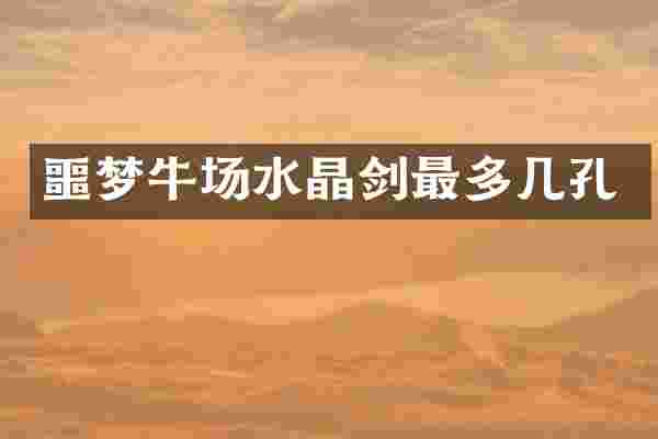 噩梦牛场水晶剑最多几孔