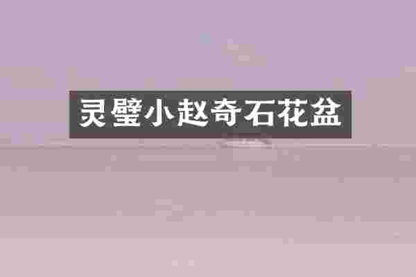 灵璧小赵奇石花盆