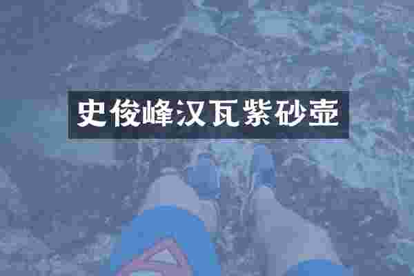 史俊峰汉瓦紫砂壶