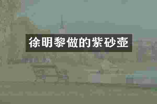 徐明黎做的紫砂壶