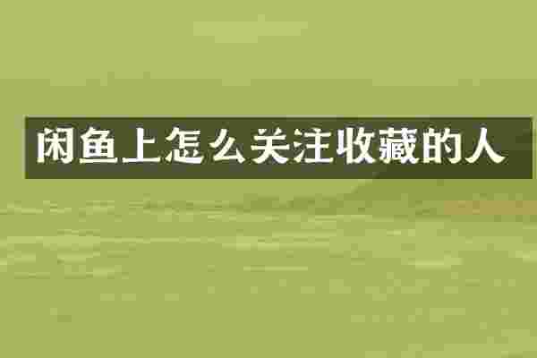闲鱼上怎么关注收藏的人