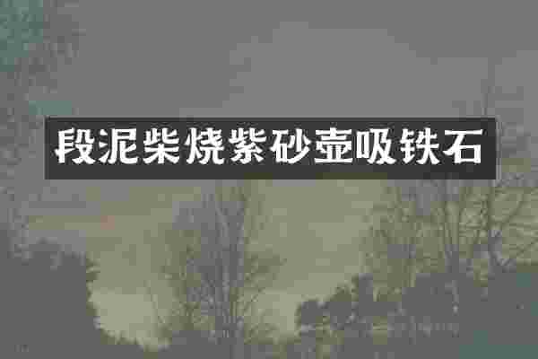 段泥柴烧紫砂壶吸铁石
