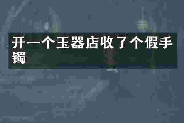 开一个玉器店收了个假手镯