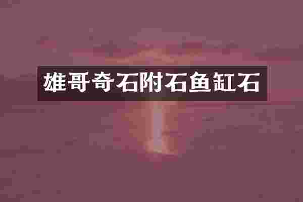 雄哥奇石附石鱼缸石