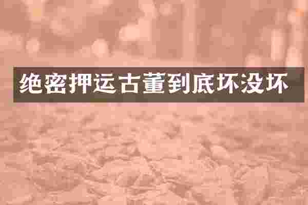 绝密押运古董到底坏没坏