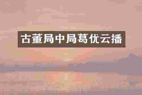 古董局中局葛优云播