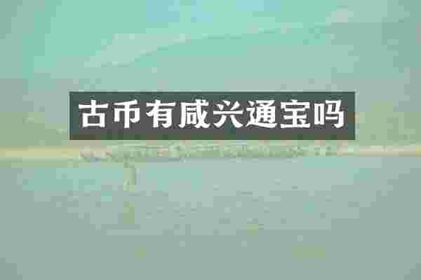 古币有咸兴通宝吗
