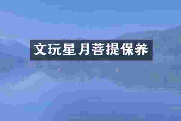 文玩星月菩提保养