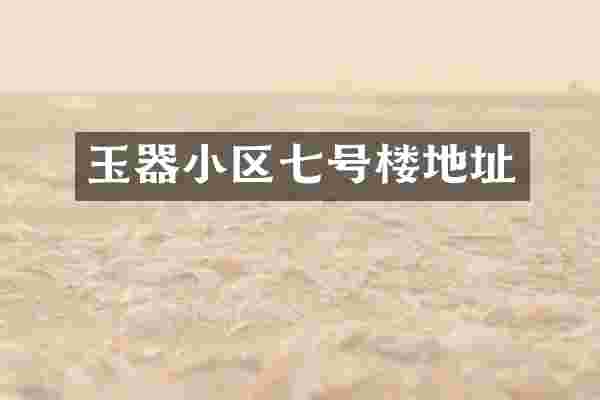 玉器小区七号楼地址